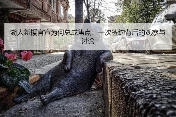 湖人新援官宣为何总成焦点：一次签约背后的观察与讨论 - kaiyun